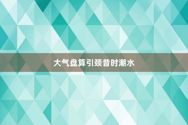 大气盘算引颈昔时潮水