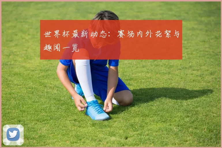 世界杯最新动态:赛场内外花絮与趣闻一览